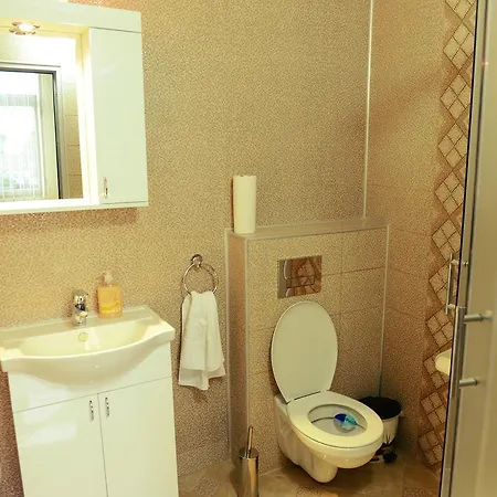 Dokic Guest house *